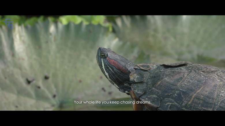 кадр из фильма Narcissus