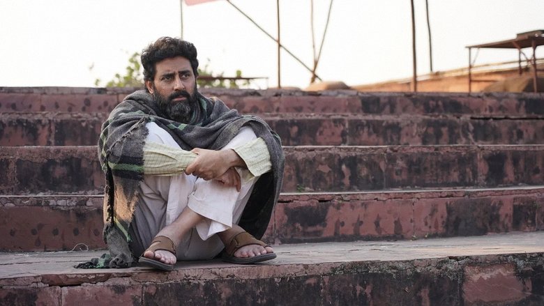 кадр из фильма कालीधर लापता