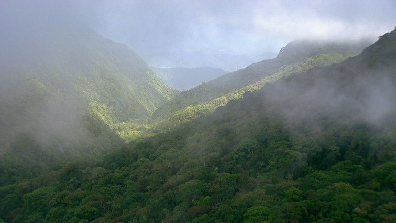Жизнь тропического леса
