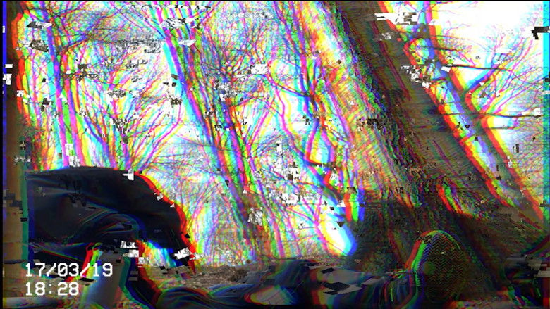 кадр из фильма A Scarf In The Woods