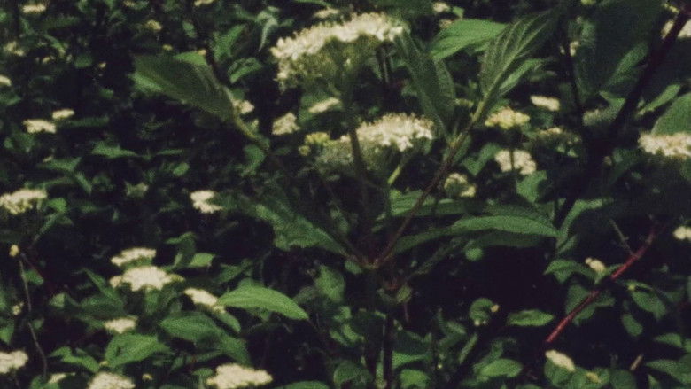 кадр из фильма Everything Everywhere Again Alive