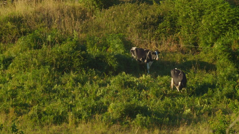 кадр из фильма Teño que aprender a chorar de novo