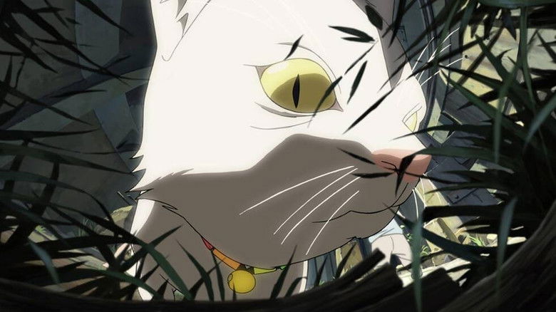 Аниматрица: За гранью