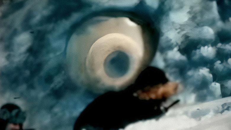 кадр из фильма Sub-Zero Terror