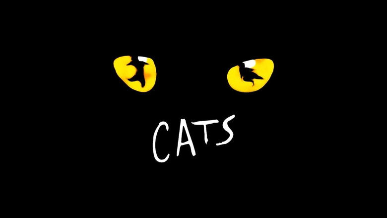 кадр из фильма Кошки