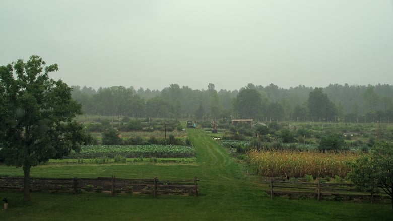 кадр из фильма La ferme et son état