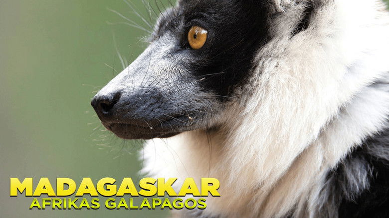 кадр из фильма Madagascar: Africa's Galapagos