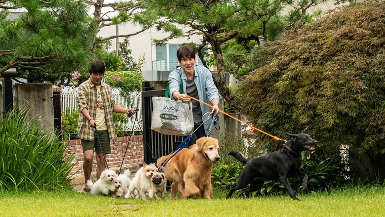 кадр из фильма Мой пёс Руни