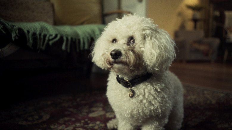 кадр из фильма A Lady of Paris