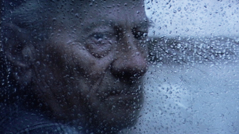 кадр из фильма Das Summen der Insekten