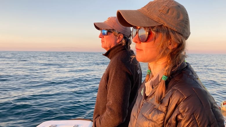 кадр из фильма Shark Below Zero