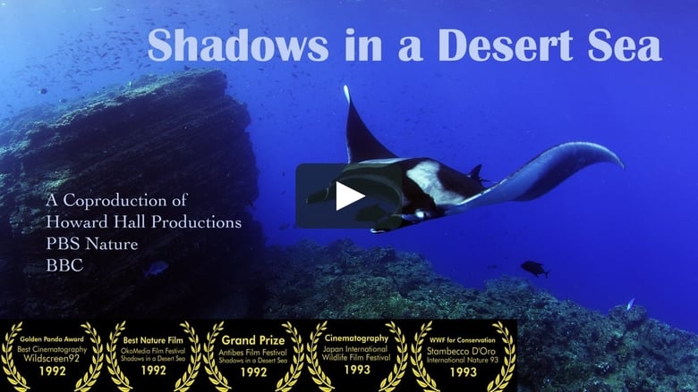 Shadows in a Desert Sea