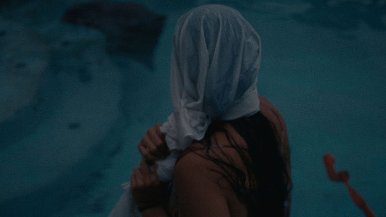 кадр из фильма Weapons and Their Names