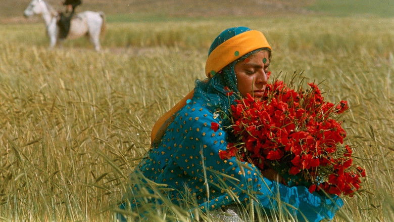 кадр из фильма Габбех