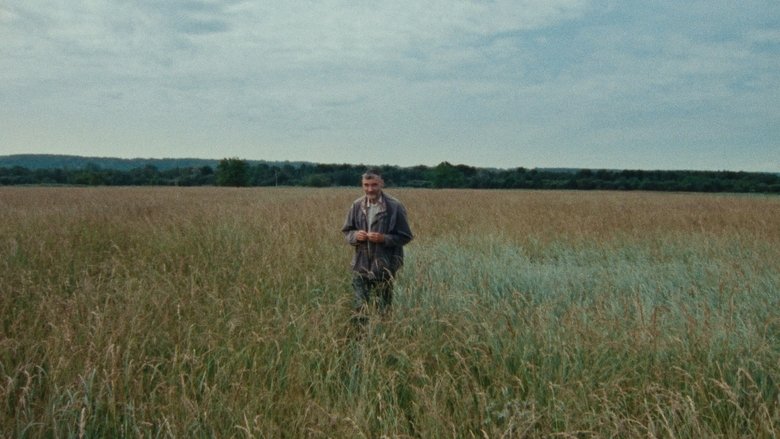 кадр из фильма Sept promenades avec Mark Brown