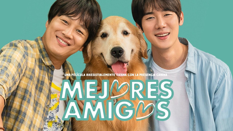 кадр из фильма Мой пёс Руни