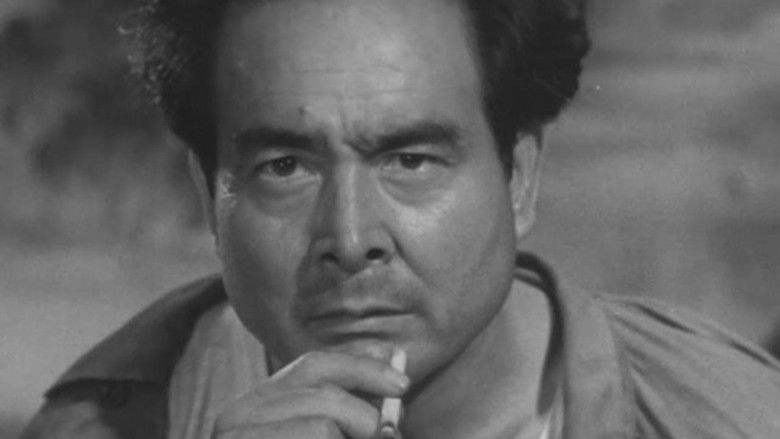 кадр из фильма Фейерверк над морем