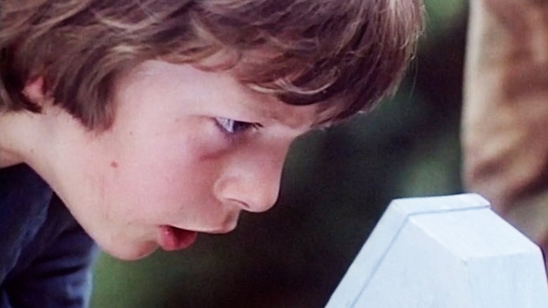 кадр из фильма The Battle of Billy's Pond