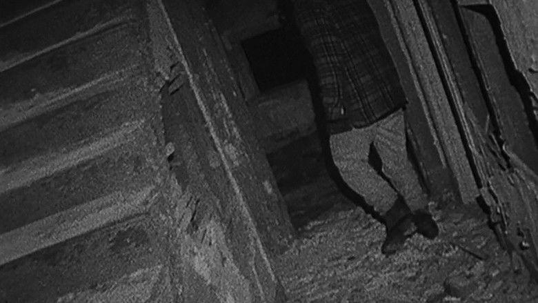 кадр из фильма Ведьма из Блэр: Курсовая с того света