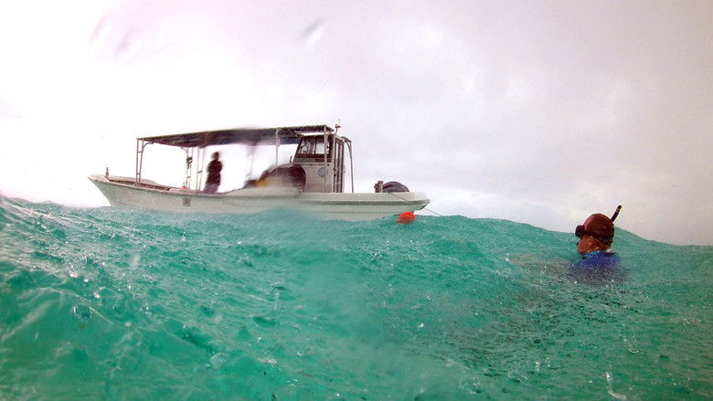 кадр из фильма One Word