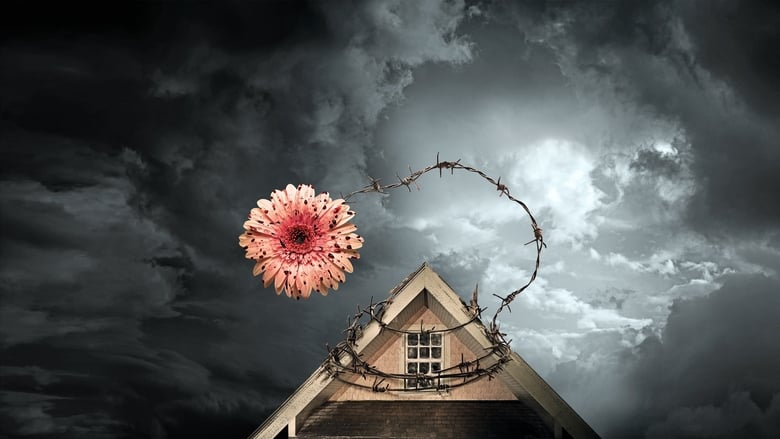 кадр из фильма Лепестки на ветру