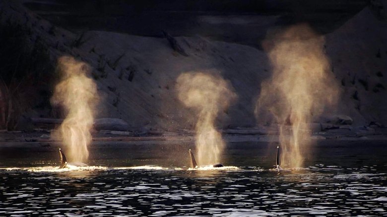 кадр из фильма Dammed to Extinction