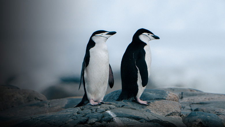 кадр из фильма Animal Pride: Nature's Coming Out Story