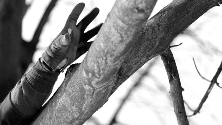 кадр из фильма Ophélia