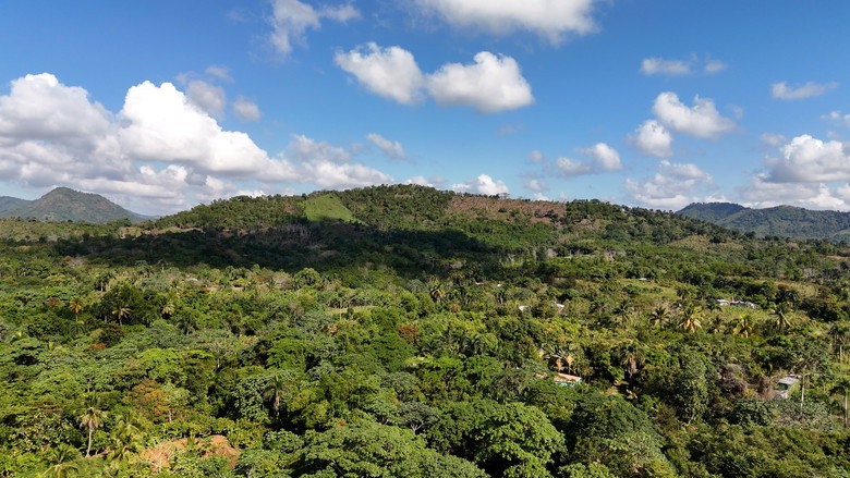 кадр из фильма Mamá Tingó: Memoria viva de la tierra dominicana