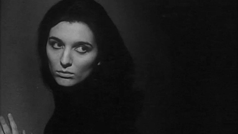 кадр из фильма Olimpia agli amici