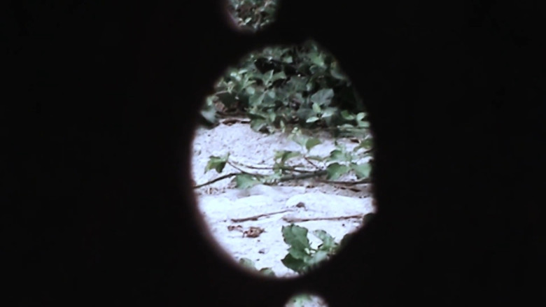 кадр из фильма Casa Chica