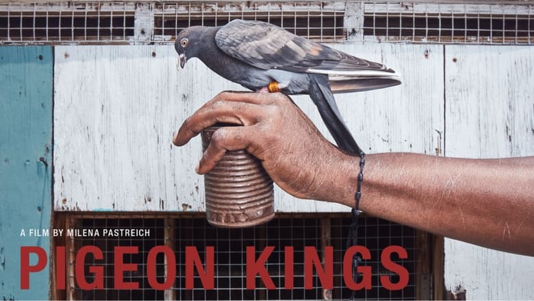 кадр из фильма Pigeon Kings