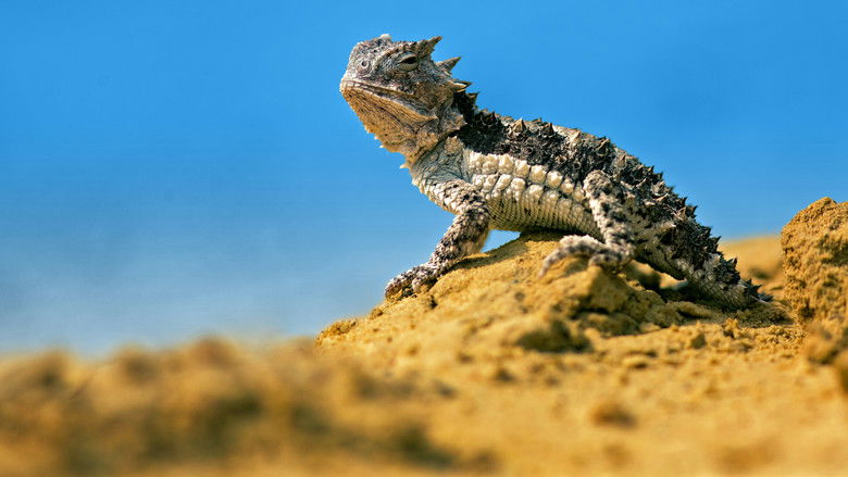 кадр из фильма World's Weirdest: Extreme Body Parts