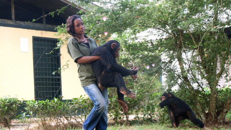 кадр из фильма Schimpansen im Kongo mit Jane Goodall