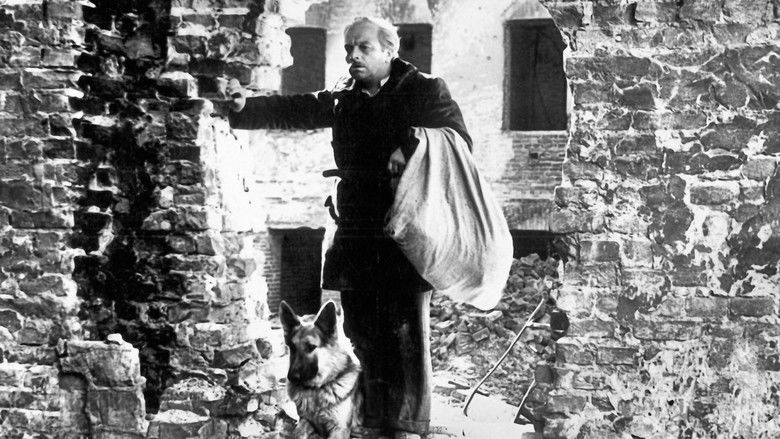 кадр из фильма Непокорённый город / Варшавский Робинзон