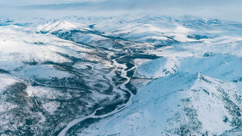 кадр из фильма Alaska, au pays des glaciers