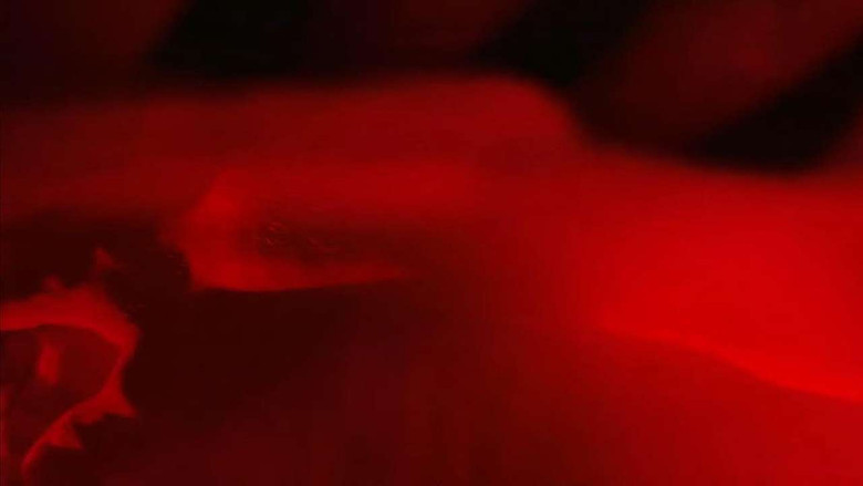 кадр из фильма Intoxicating Tides