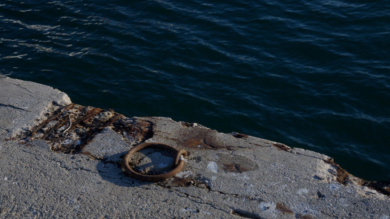 кадр из фильма Teixint el mar