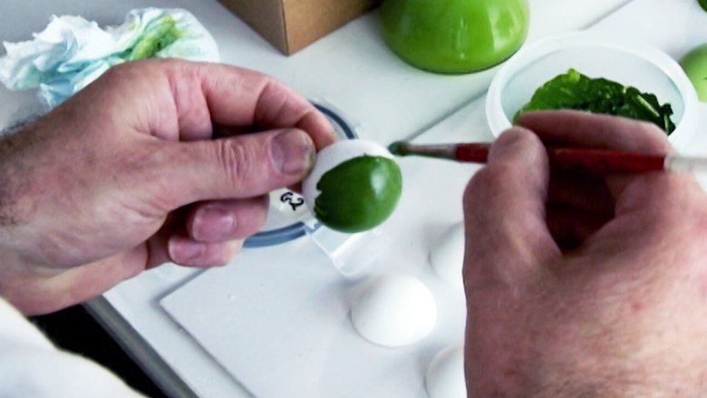 кадр из фильма Peter Monaghan: A Portrait