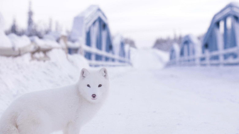 кадр из фильма Кина и Юк: Пушистые приключения