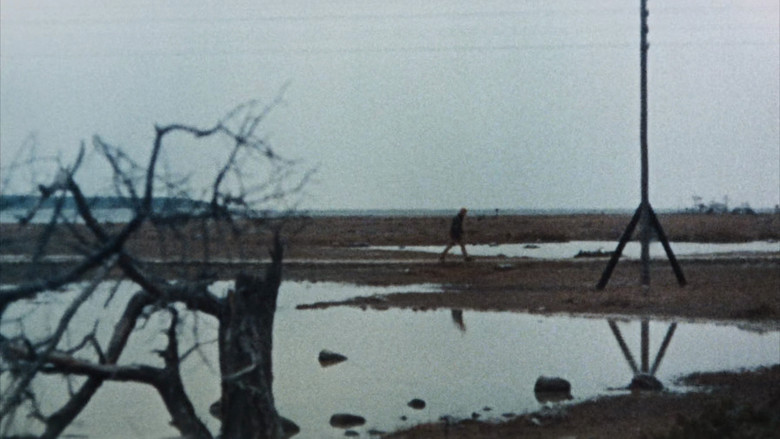 кадр из фильма Страсть