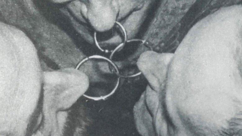 кадр из фильма A Body to Live In