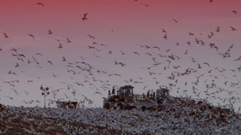 кадр из фильма Fresh Kill