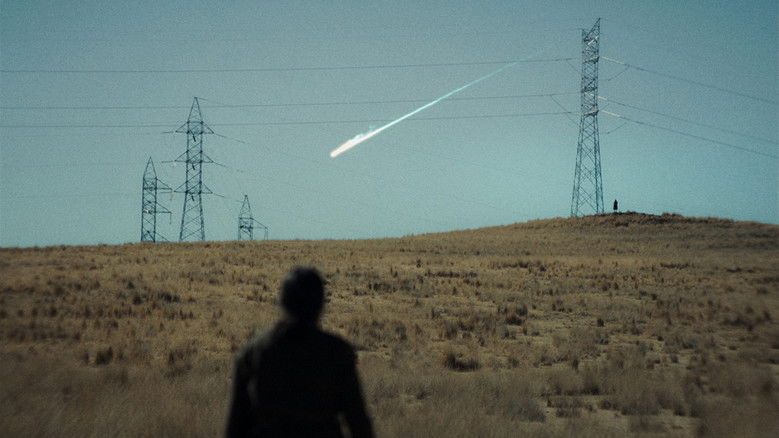 кадр из фильма La anatomía de los caballos