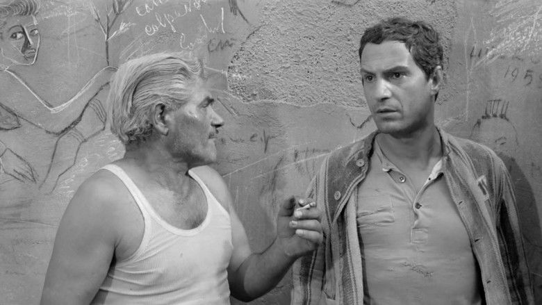 кадр из фильма Верхом на тигре