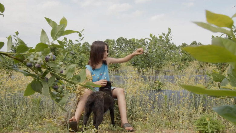 кадр из фильма Lurji Motsvi