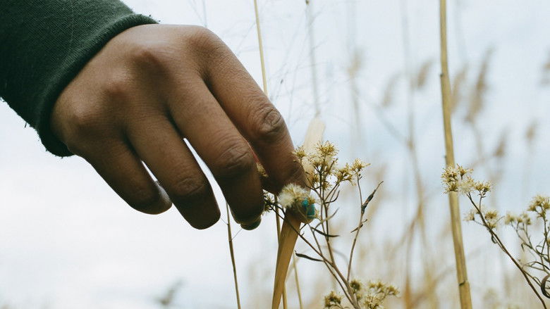 кадр из фильма Nettles