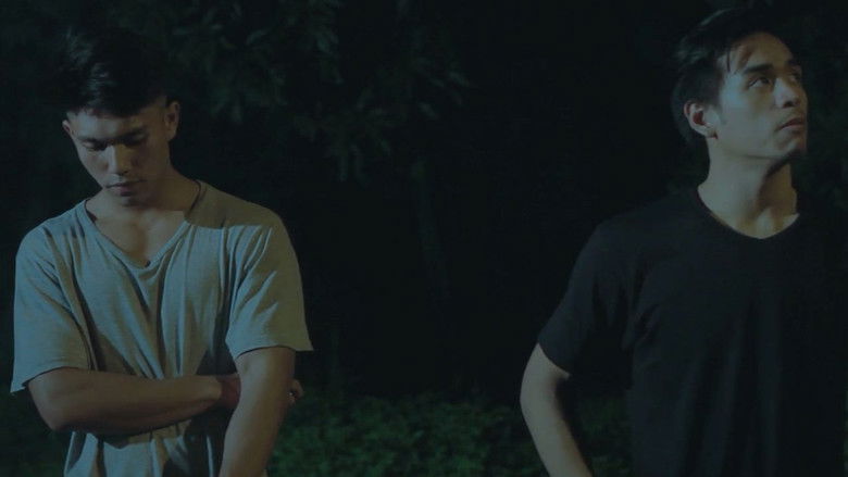 кадр из фильма Why Do Birds Suddenly Disappear?