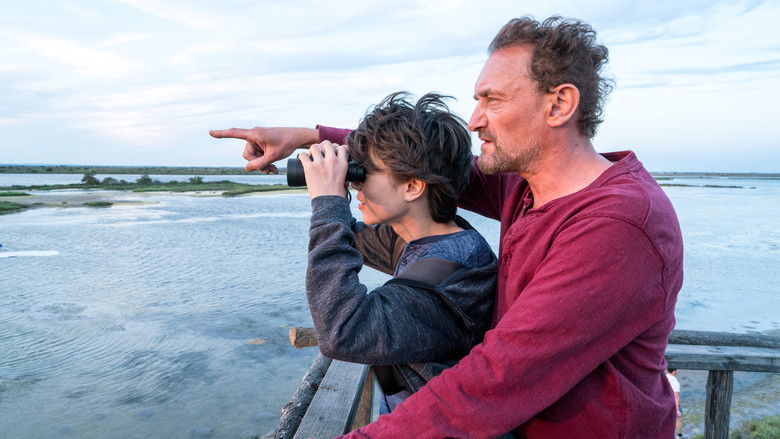 кадр из фильма Расправь крылья