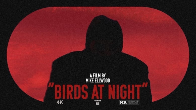 кадр из фильма Birds at Night